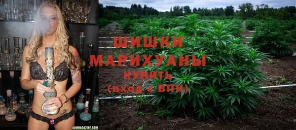 гашик Ельня