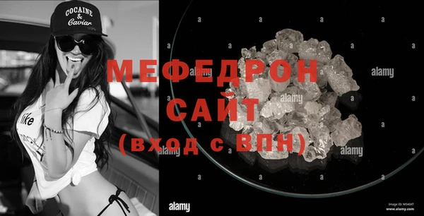 гашик Ельня