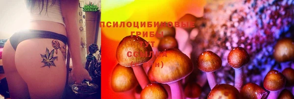 гашик Ельня