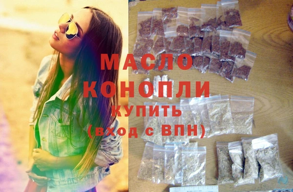гашик Ельня