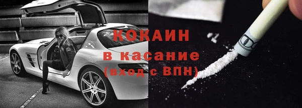 гашик Ельня