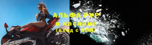 гашик Ельня