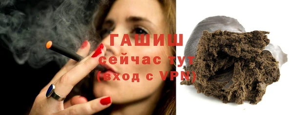 гашик Ельня