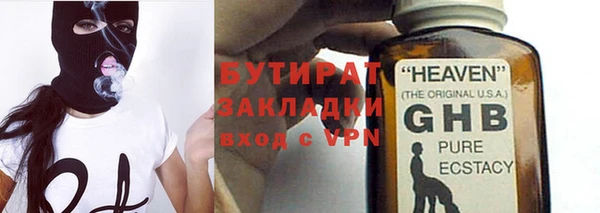 гашик Ельня
