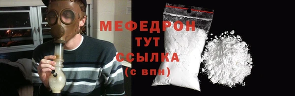 гашик Ельня