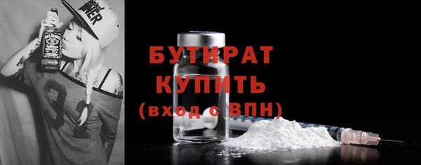 гашик Ельня