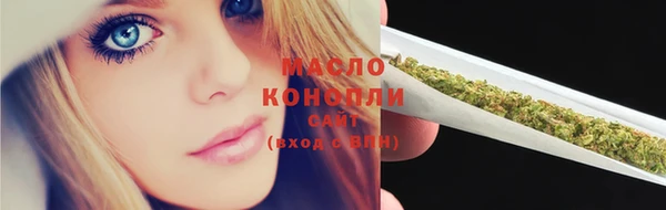 гашик Ельня