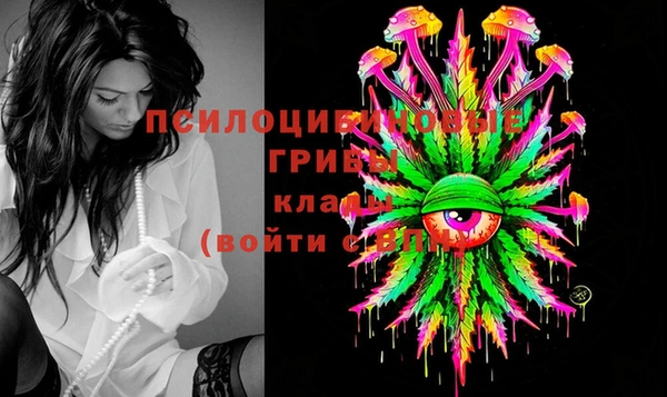 гашик Ельня