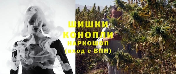 гашик Ельня