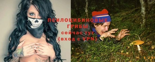 мескалин Елизово