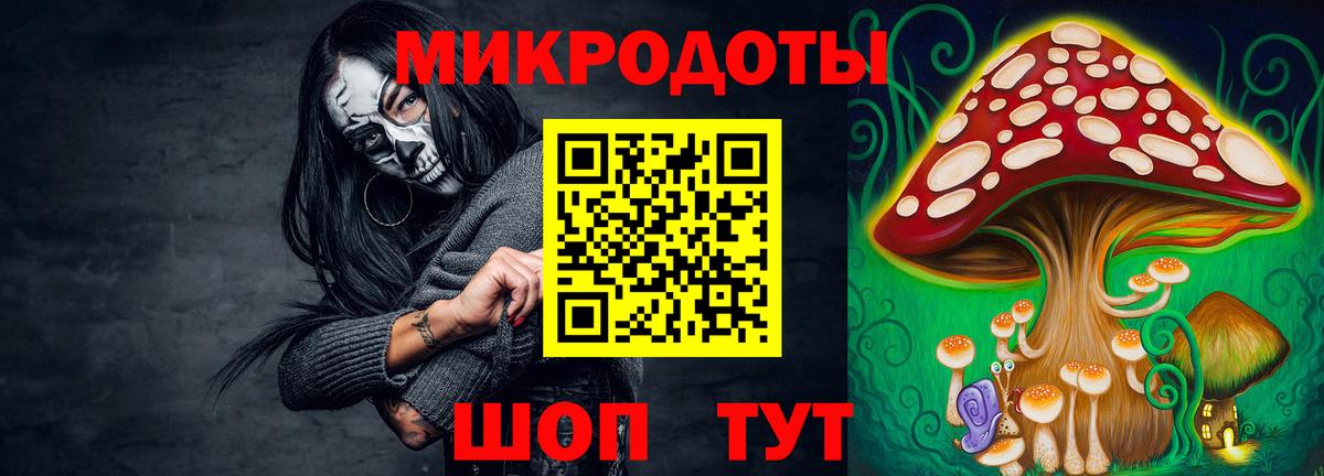 Псилоцибиновые грибы прущие грибы Протвино